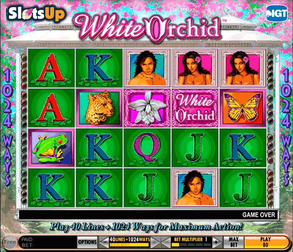 Free White Orchid Slot No Download